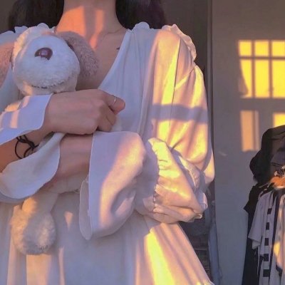 蜘蛛的策略