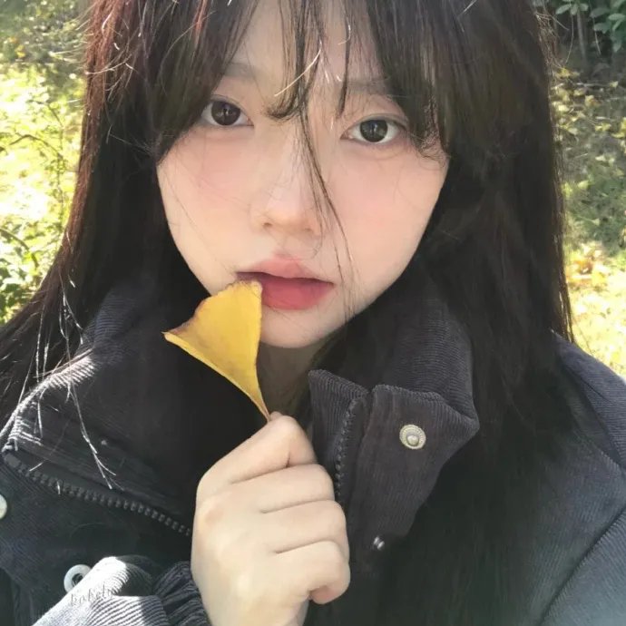 铁拳：血脉