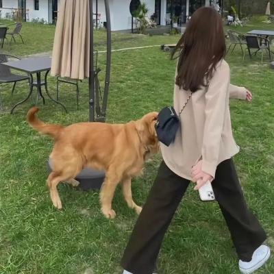 心灵病房